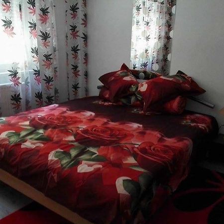 Apartament Ela Elegance Διαμέρισμα Orşova Εξωτερικό φωτογραφία