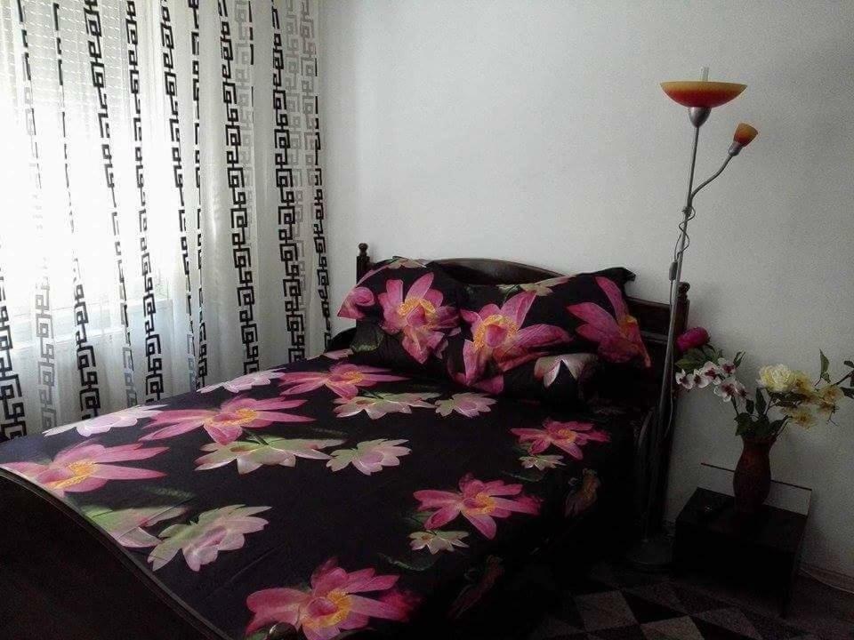 Apartament Ela Elegance Διαμέρισμα Orşova Εξωτερικό φωτογραφία