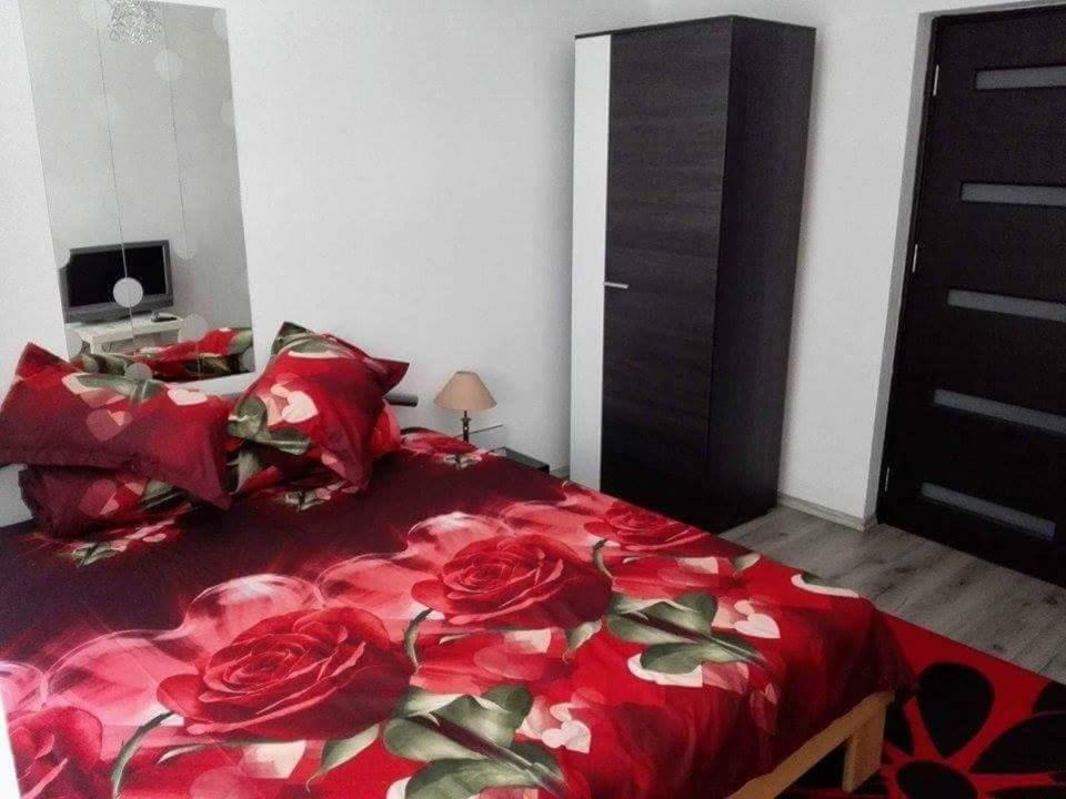 Apartament Ela Elegance Διαμέρισμα Orşova Εξωτερικό φωτογραφία